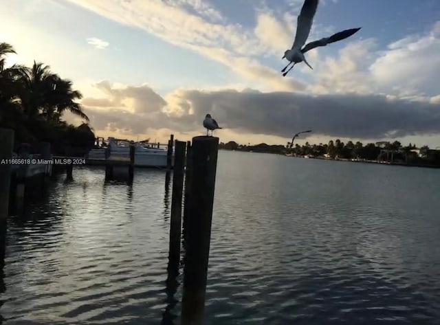 dock area with a water view