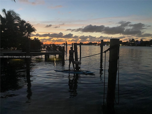 dock area featuring a water view