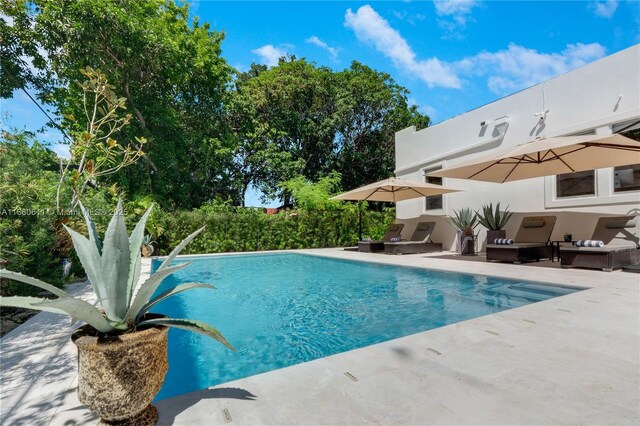 view of pool with outdoor lounge area and a patio