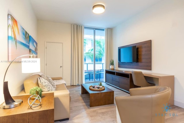 living room with light hardwood / wood-style flooring