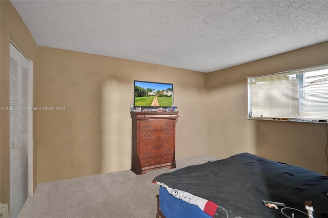 bedroom with carpet floors, a textured ceiling, and a closet