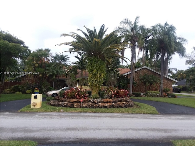 view of front of home featuring a front lawn