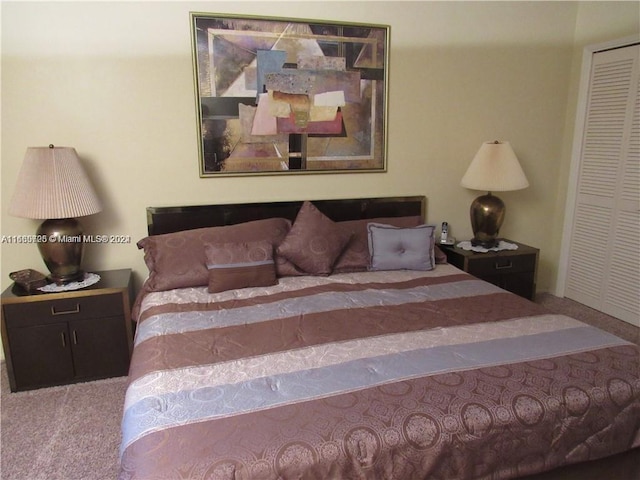 bedroom featuring carpet and a closet