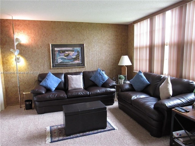 carpeted living room with a textured ceiling