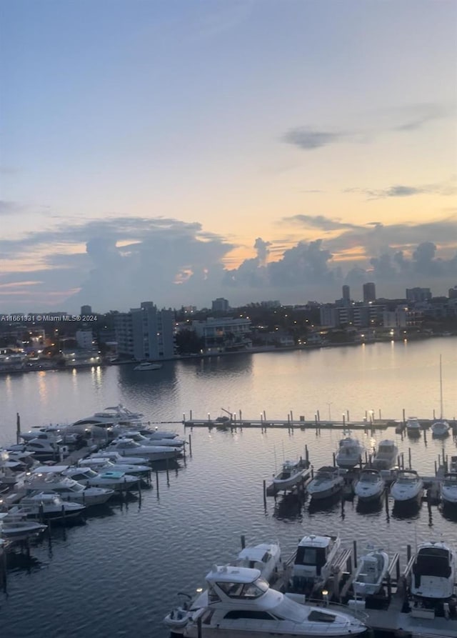 water view featuring a boat dock