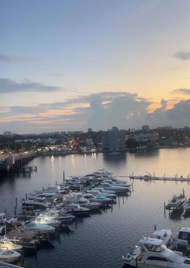 property view of water with a boat dock