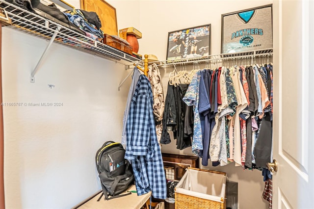 view of spacious closet