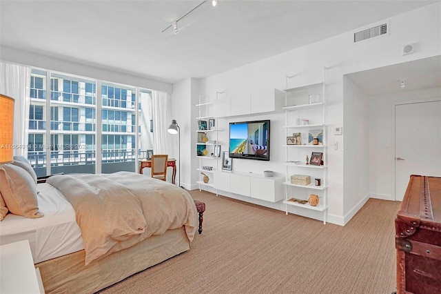 carpeted bedroom with access to outside and rail lighting