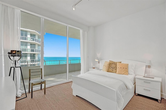 bedroom with a water view, light colored carpet, and rail lighting