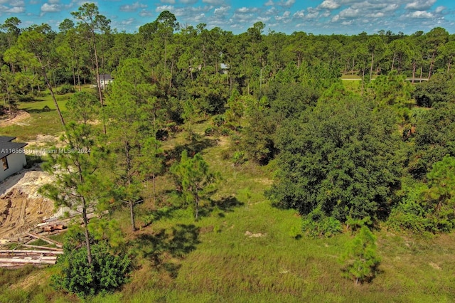 1219 Washington Ave, Lehigh Acres FL, 33972 land for sale