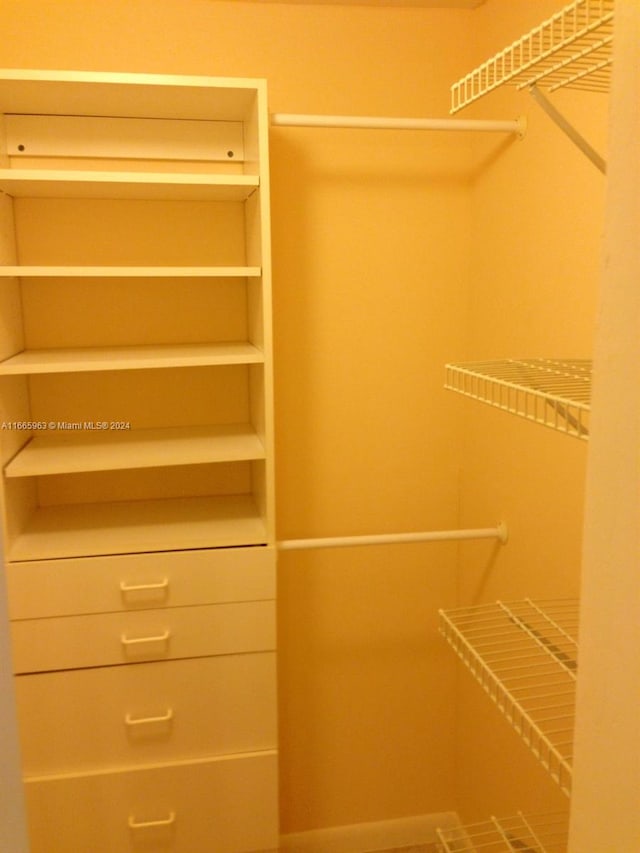 view of walk in closet