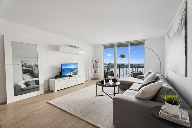 living room with expansive windows and light hardwood / wood-style flooring