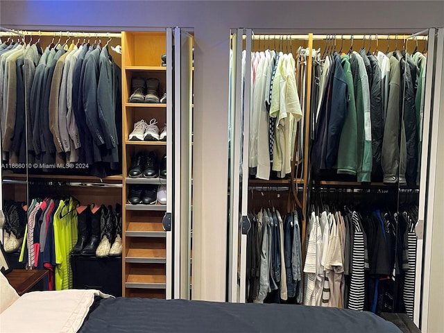 view of closet