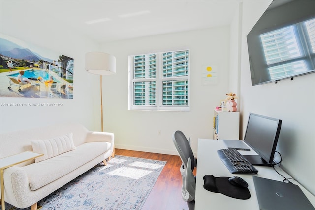 office with wood-type flooring and plenty of natural light