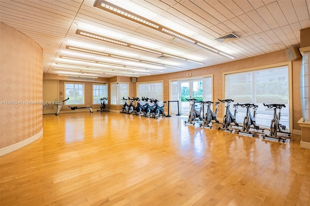 exercise room with hardwood / wood-style floors and a healthy amount of sunlight