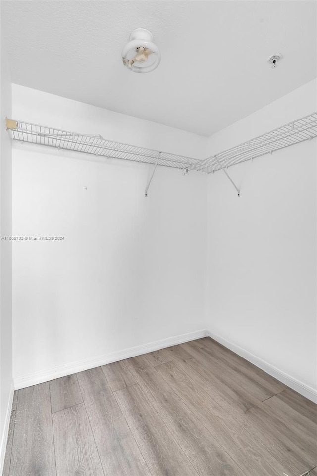 spacious closet with hardwood / wood-style floors