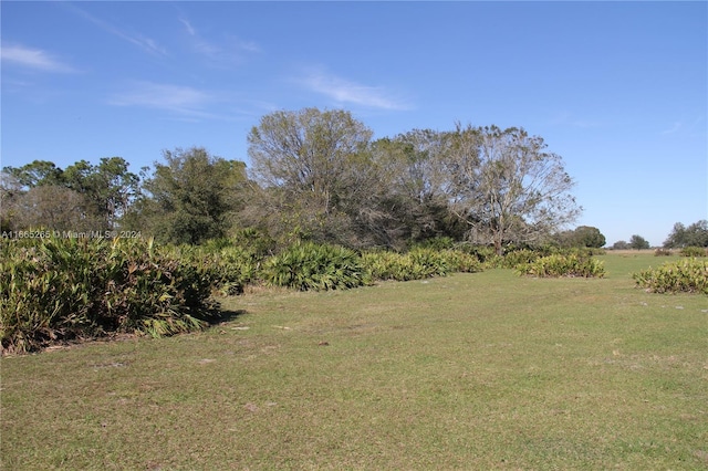 14721 Arbuckle Creek Rd, Sebring, FL 33870 - view of yard featuring a rural view
