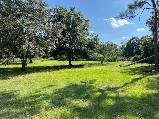 14721 Arbuckle Creek Rd, Sebring, FL 33870 - view of yard