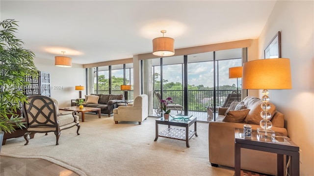 living room featuring carpet