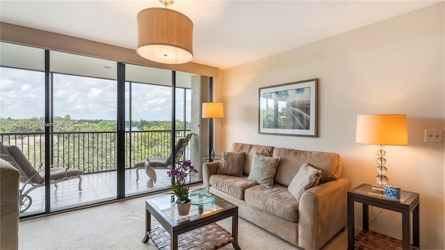 view of carpeted living room