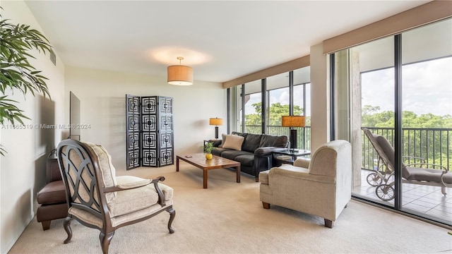 view of carpeted living room