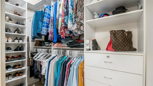 view of spacious closet