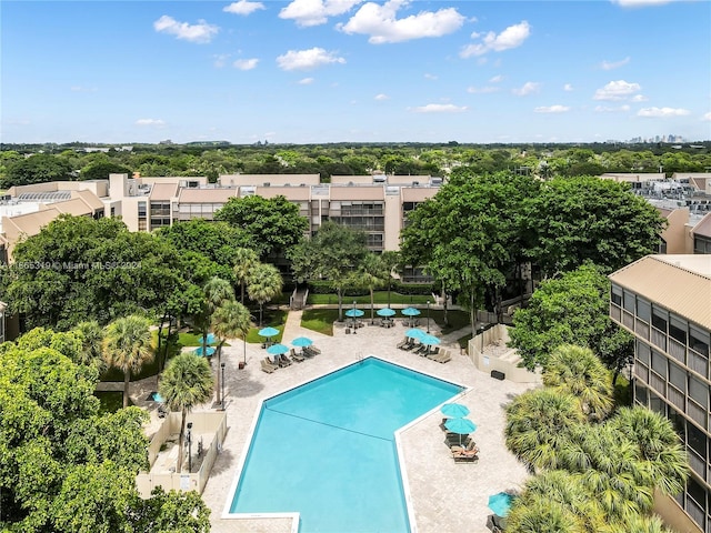 view of swimming pool featuring a patio