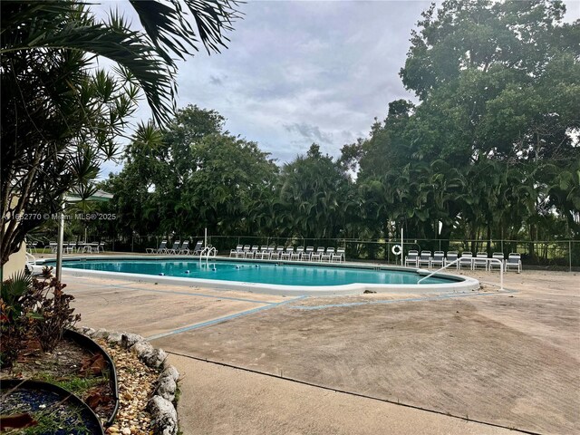 view of swimming pool