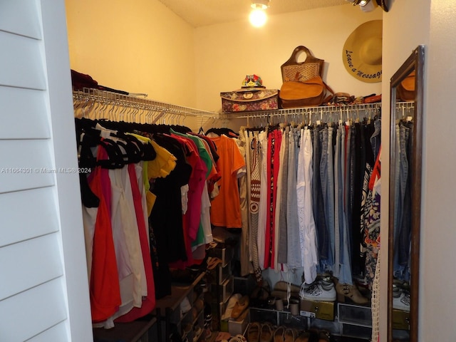 view of spacious closet