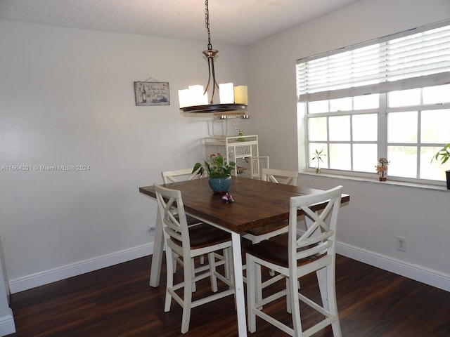 dining space featuring dark hardwood / wood-style flooring