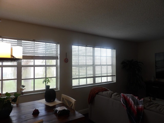 dining area with a textured ceiling