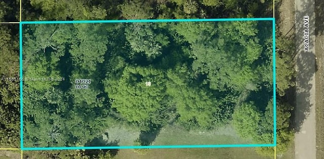 913 E Acacia Ave, Lehigh Acres FL, 33972 land for sale