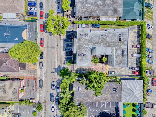 bird's eye view