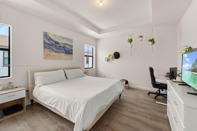 bedroom featuring multiple windows, hardwood / wood-style floors, and a raised ceiling