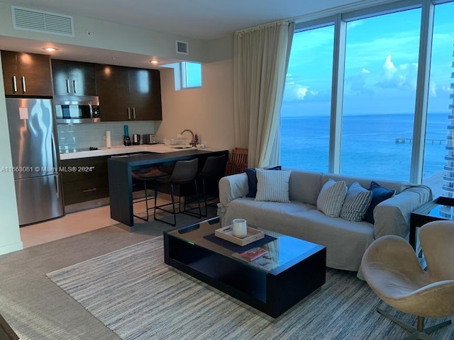 living room with a water view and sink