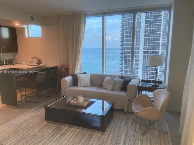 living room featuring a water view and sink