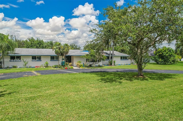 ranch-style house featuring a front yard