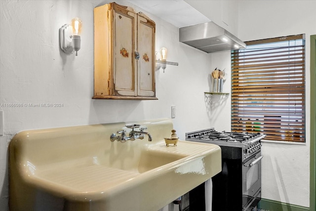 kitchen featuring exhaust hood, high end range, and sink