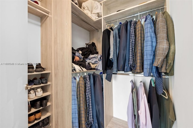 walk in closet featuring wood-type flooring