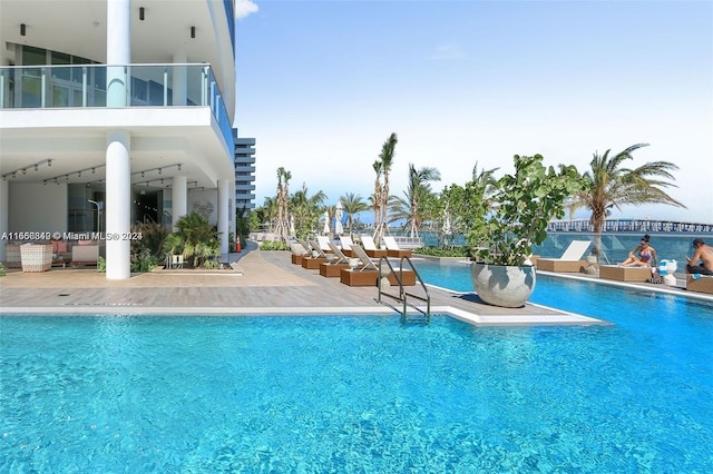 view of pool with a patio area