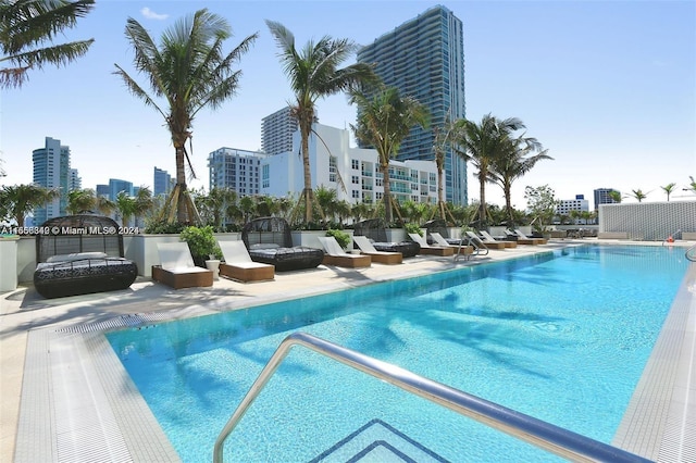 view of pool featuring a patio