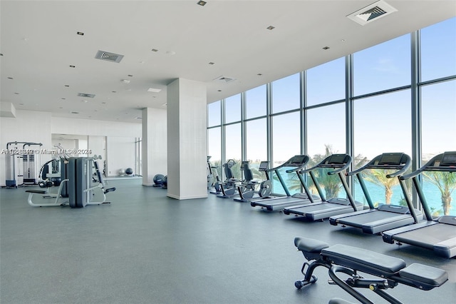 exercise room with a wall of windows, a towering ceiling, and a wealth of natural light