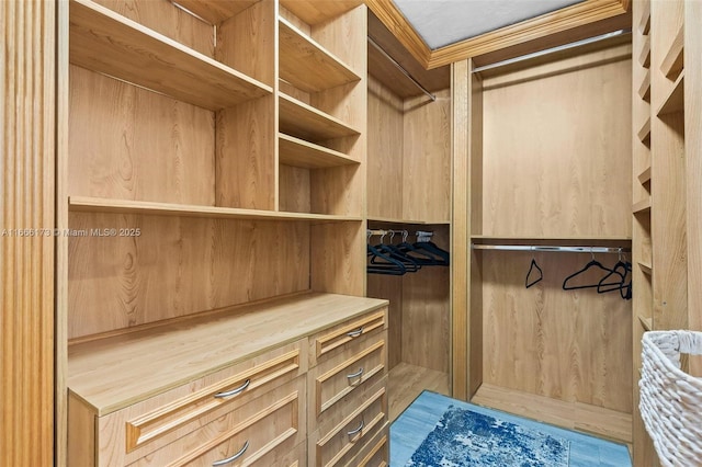 view of walk in closet