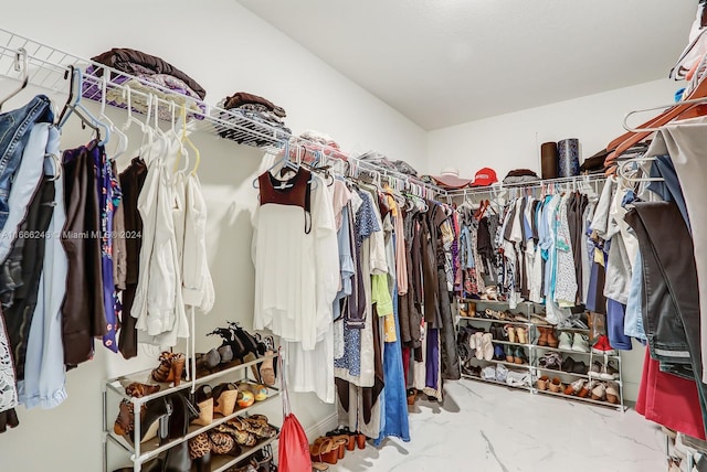 view of spacious closet