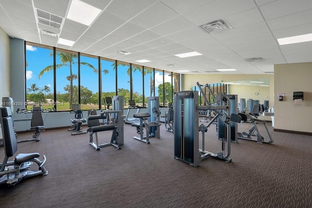 gym with a drop ceiling, dark colored carpet, and floor to ceiling windows