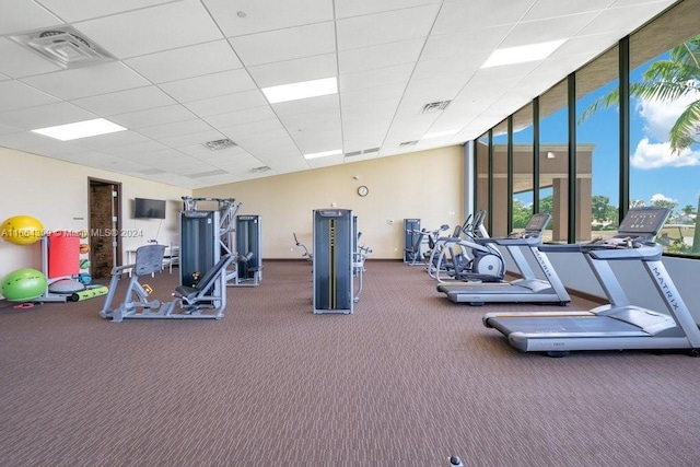 gym featuring carpet flooring and a drop ceiling