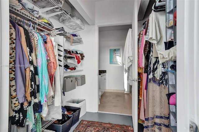 view of spacious closet