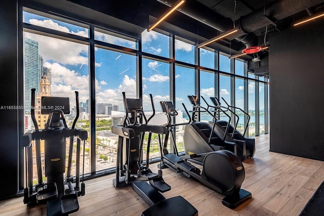 workout area with floor to ceiling windows and hardwood / wood-style floors