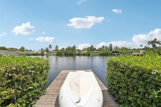 dock area featuring a water view