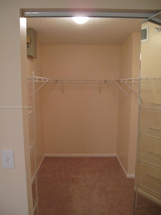 walk in closet with carpet